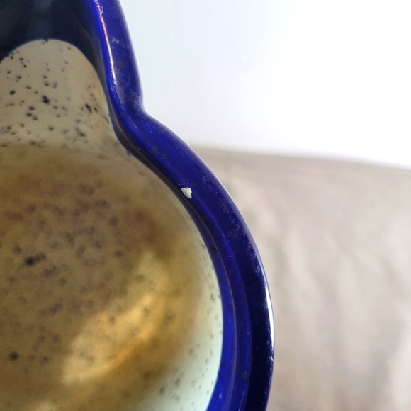 Shorelines by Julie Ueland Ceramic Pitcher with Fish - Picture 6 of 12